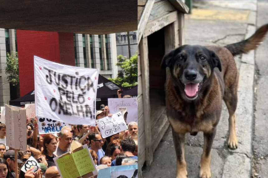 Educar com limites: dizer não também é um ato de amor